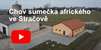 Video o nás